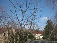 Herbstblick aus dem DG-Fenster